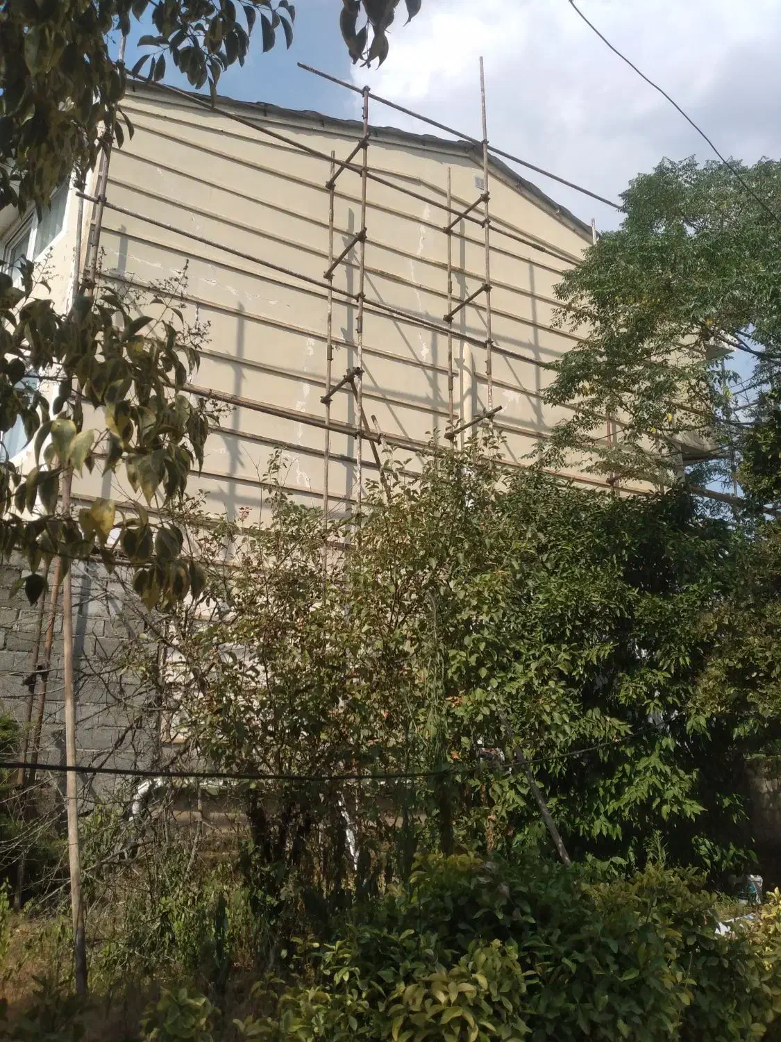 نصب انواع ورق شیروانی و نجاری|خدمات پیشه و مهارت|کلاچای, |دیوار