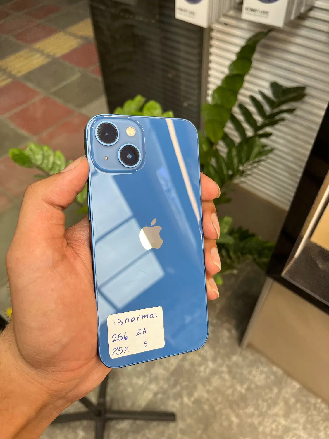 iphone 13 128|موبایل|قم, جهان بینی|دیوار