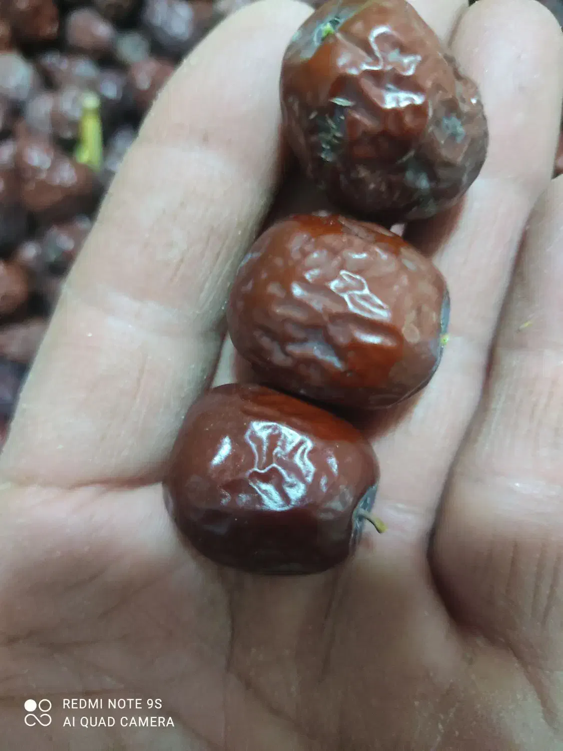 عناب|خوردنی و آشامیدنی|سرایان, |دیوار