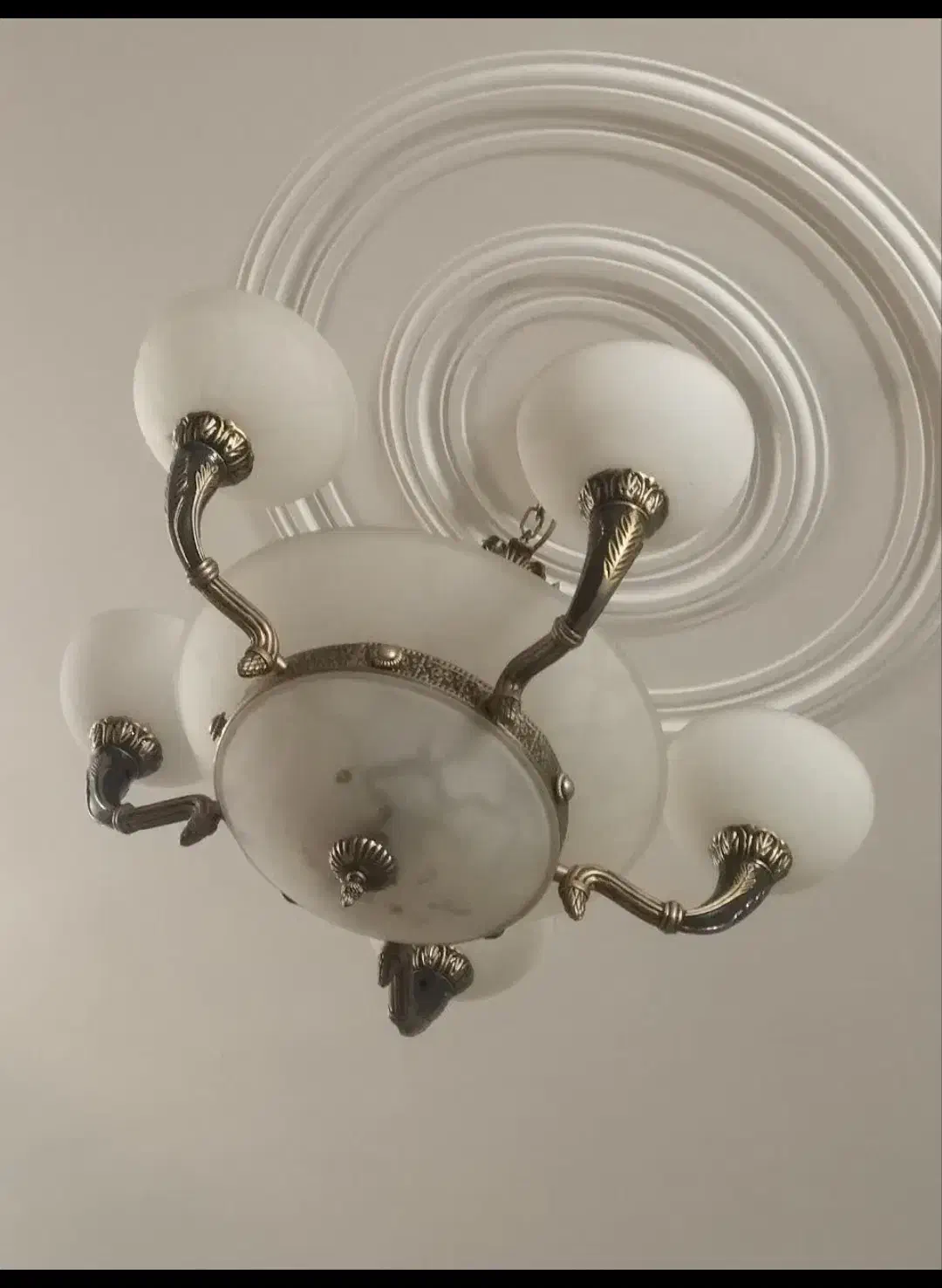 لوستر سقفی|لوستر و چراغ آویز|تهران, کاج|دیوار