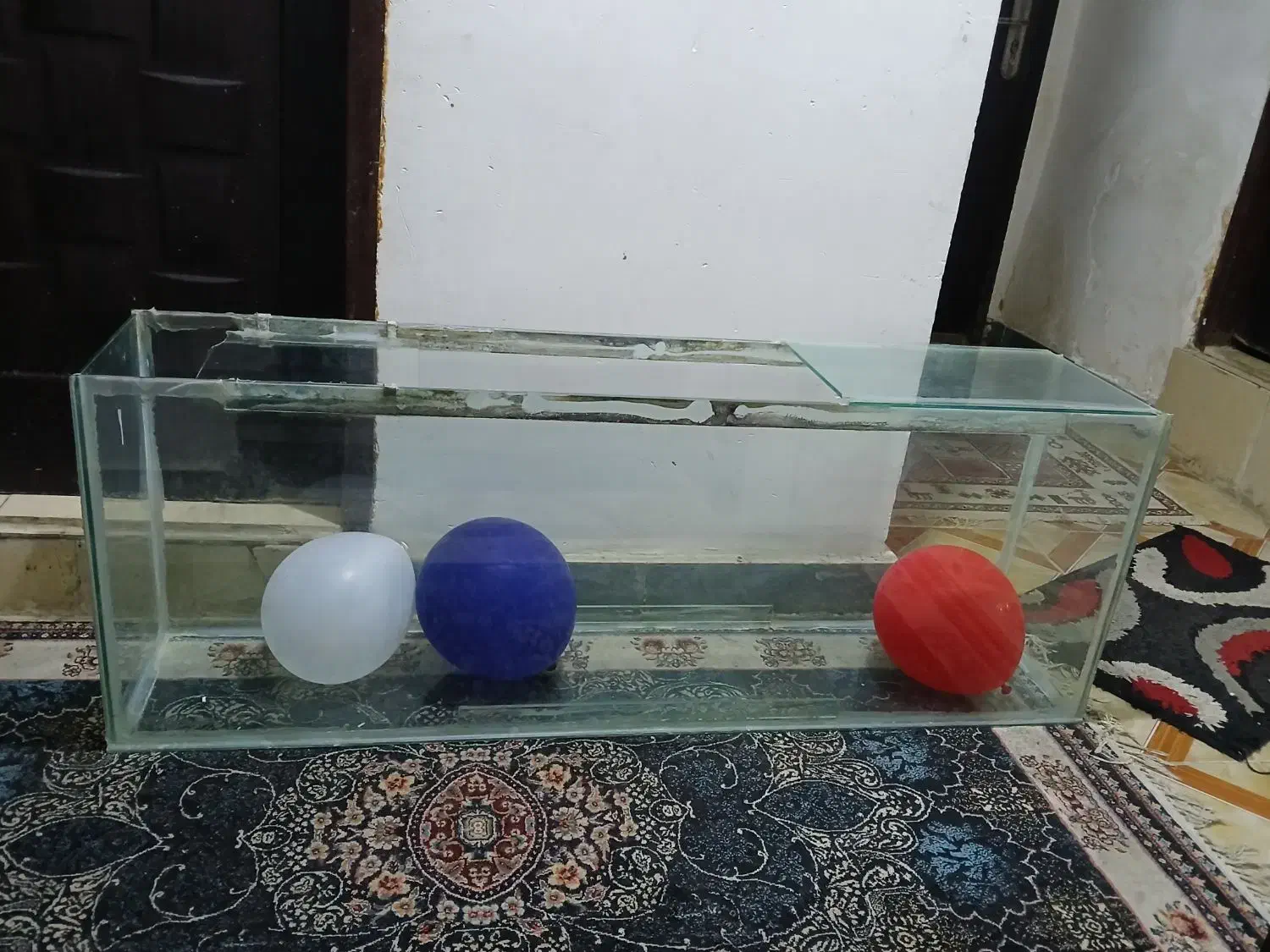 آکواریوم|ماهی|بندر ماهشهر, |دیوار