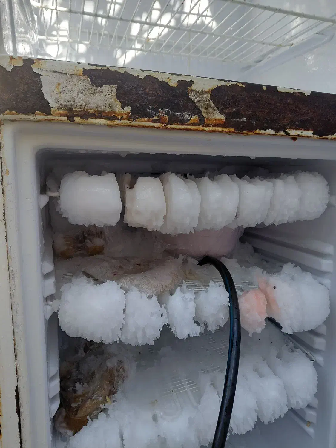 به علت کمبود جا|یخچال و فریزر|بندر ماهشهر, |دیوار