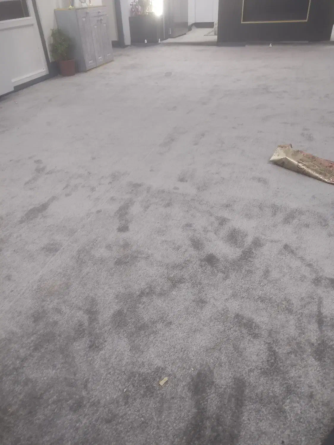 موکت پرز بلند قیمت زیر قیمت بازار لردگان|موکت|لردگان, |دیوار