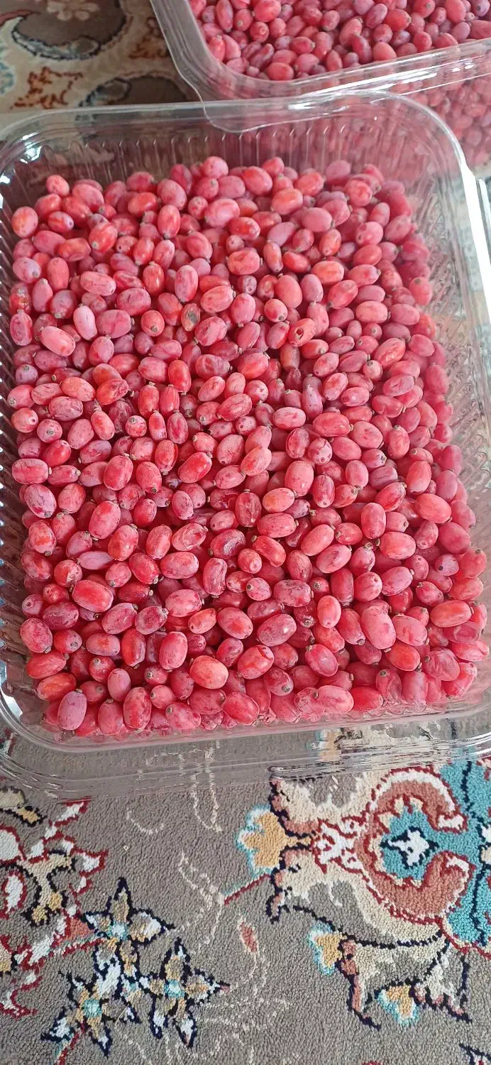 زرشک تازه دانه شده|خوردنی و آشامیدنی|مشهد, ترمینال|دیوار