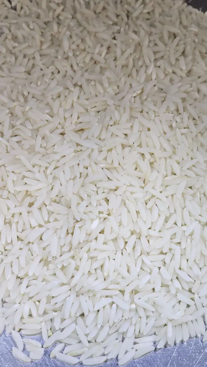 برنج خالص هاشمی فریدونکنار|خوردنی و آشامیدنی|شهرکرد, |دیوار