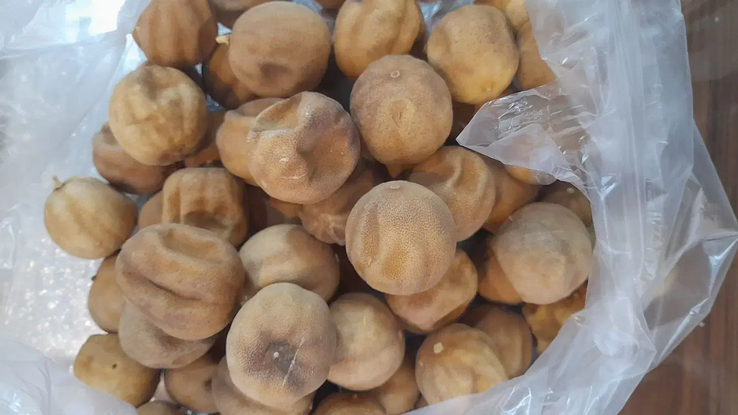 حبوبات درجه یک لرستان|خوردنی و آشامیدنی|تهران, تاکسیرانی|دیوار