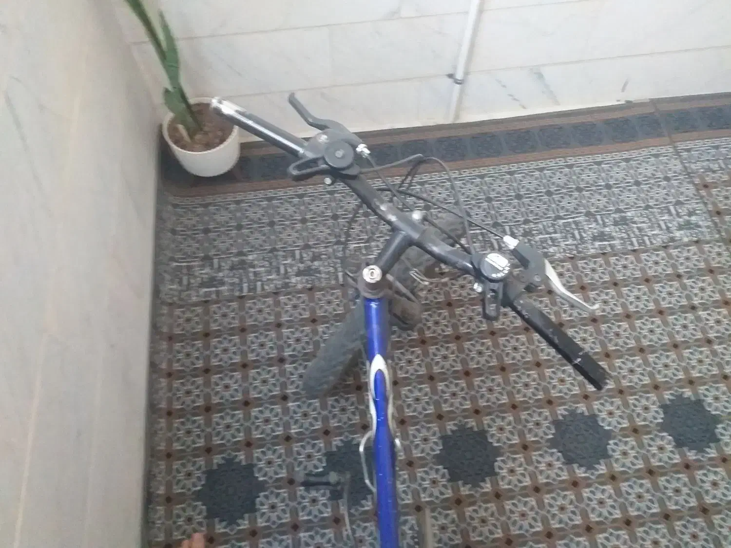 دوچرخه ویوا 20درحد|دوچرخه، اسکیت، اسکوتر|نسیمشهر, |دیوار