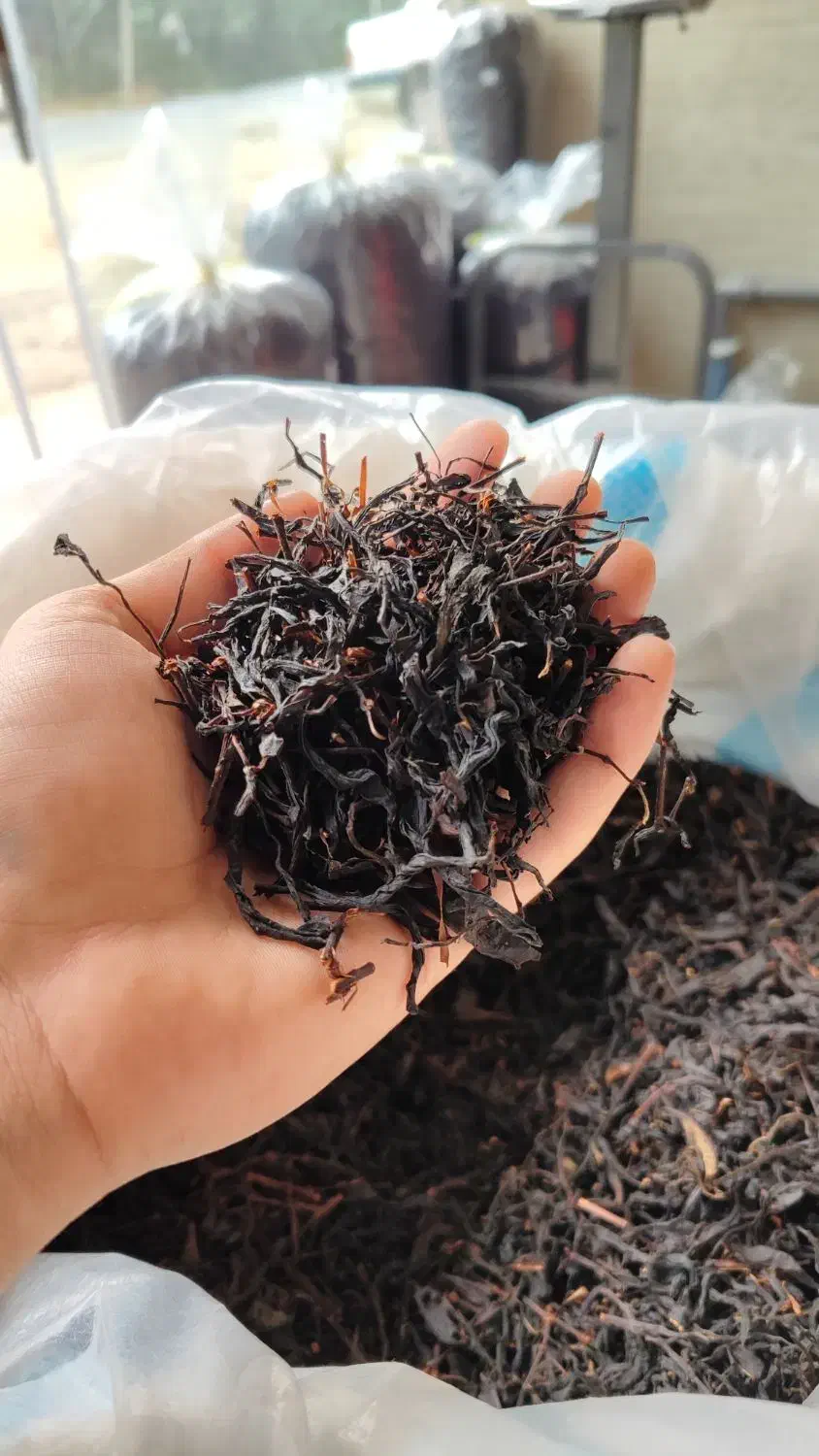 چای سنتی کارگاهی|خوردنی و آشامیدنی|کومله, |دیوار