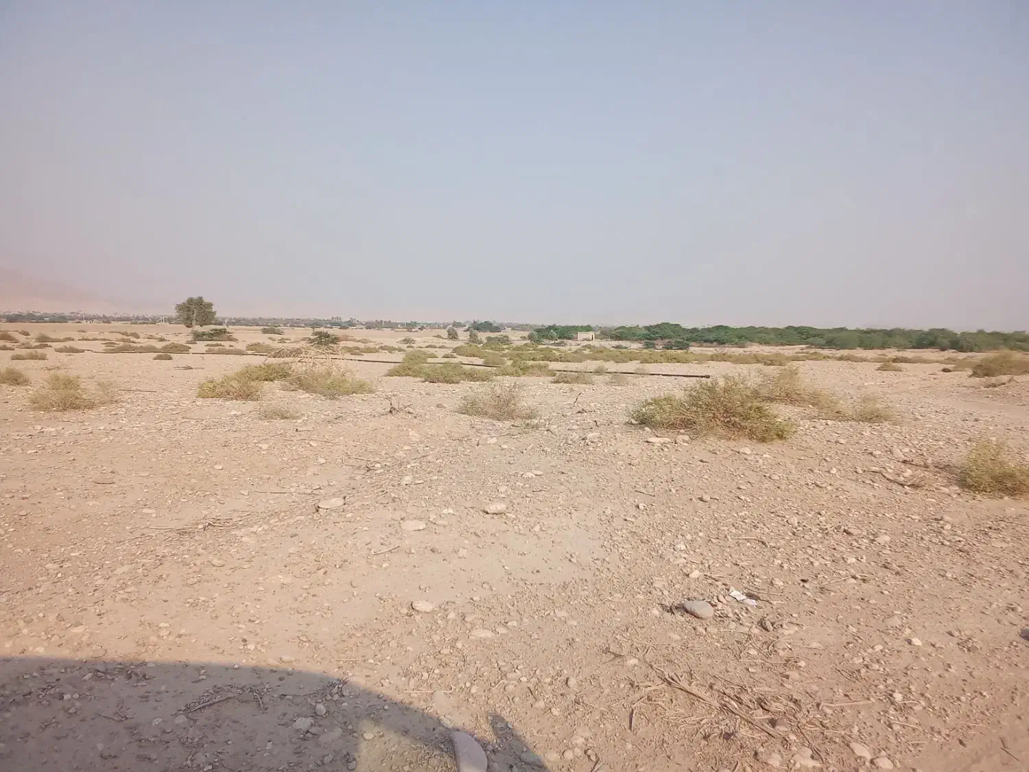 زمین کشاورزی|فروش دفتر صنعتی، کشاورزی، تجاری|فین, |دیوار