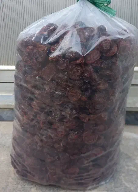 آلوچه به فروش میرسد|خوردنی و آشامیدنی|مرند, |دیوار