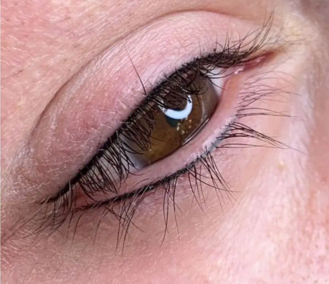 مدل خط چشم و بن مژه برای نفر اول رایگان|خدمات آرایشگری و زیبایی|تربت جام, جامی|دیوار