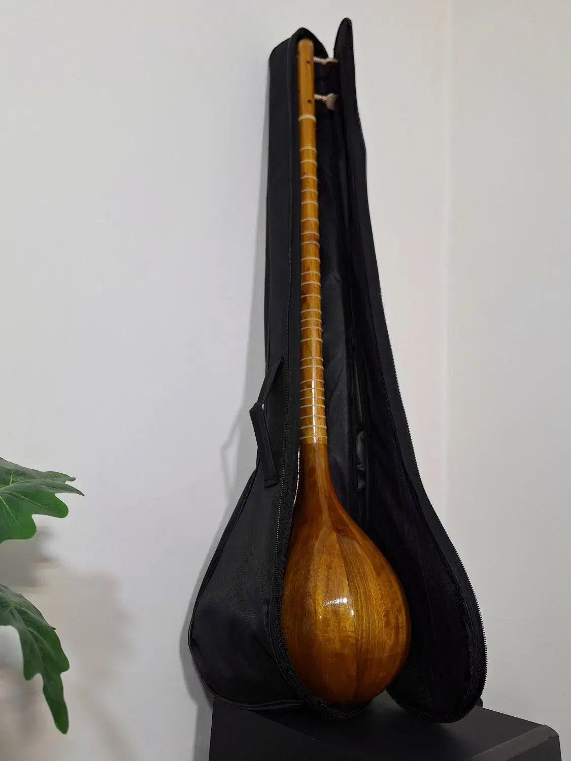 سه تار به همراه سافت کیس|سازهای سنتی|تهران, ائمه اطهار|دیوار