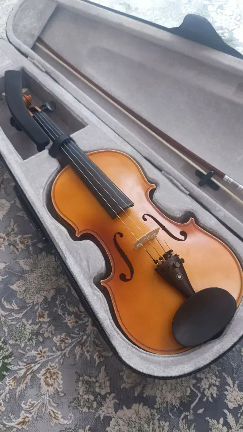 ویولن|ویولن|سنندج, |دیوار