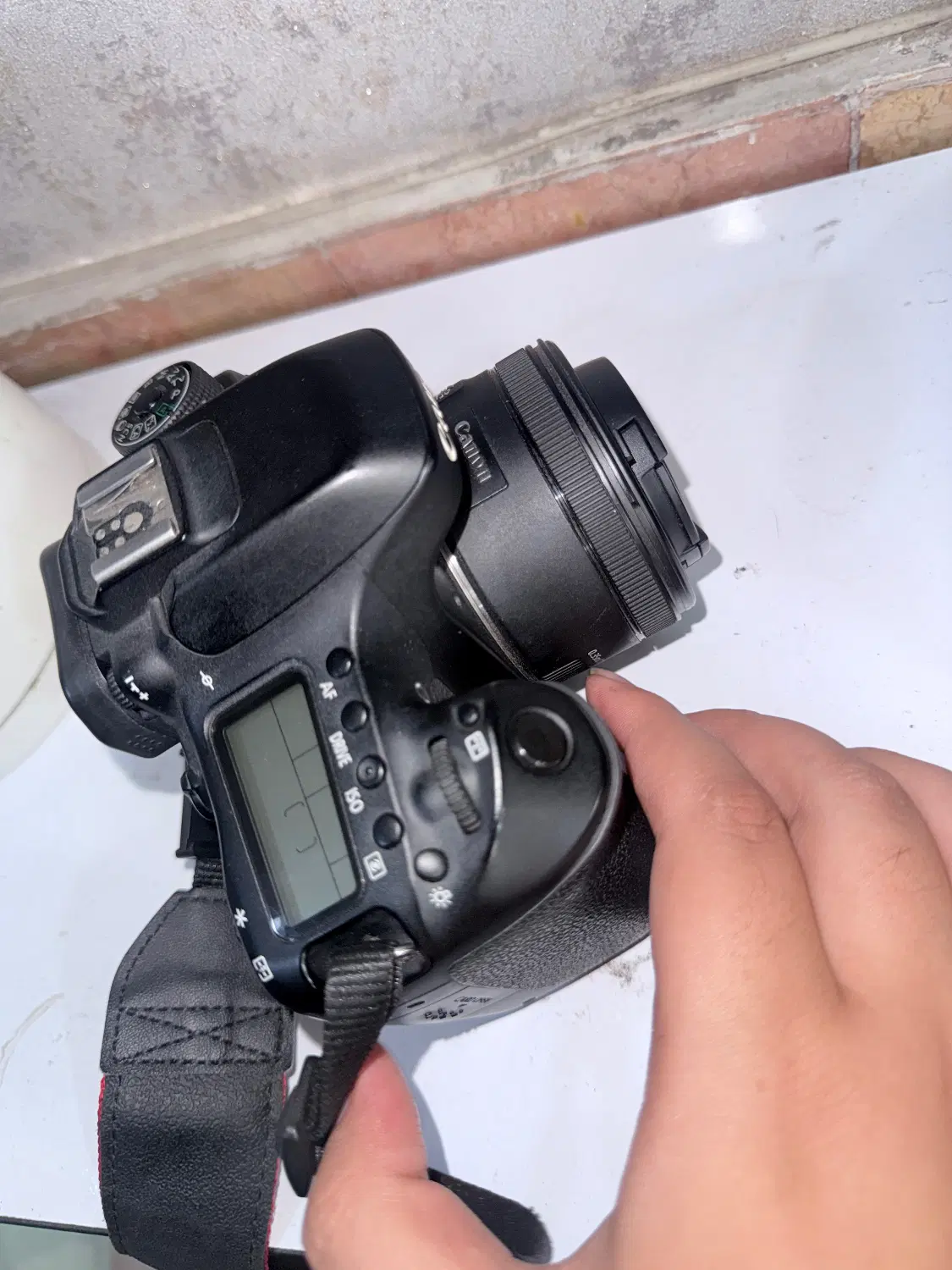 canon 80d کانون|دوربین عکاسی و فیلم‌برداری|رشت, باهنر|دیوار