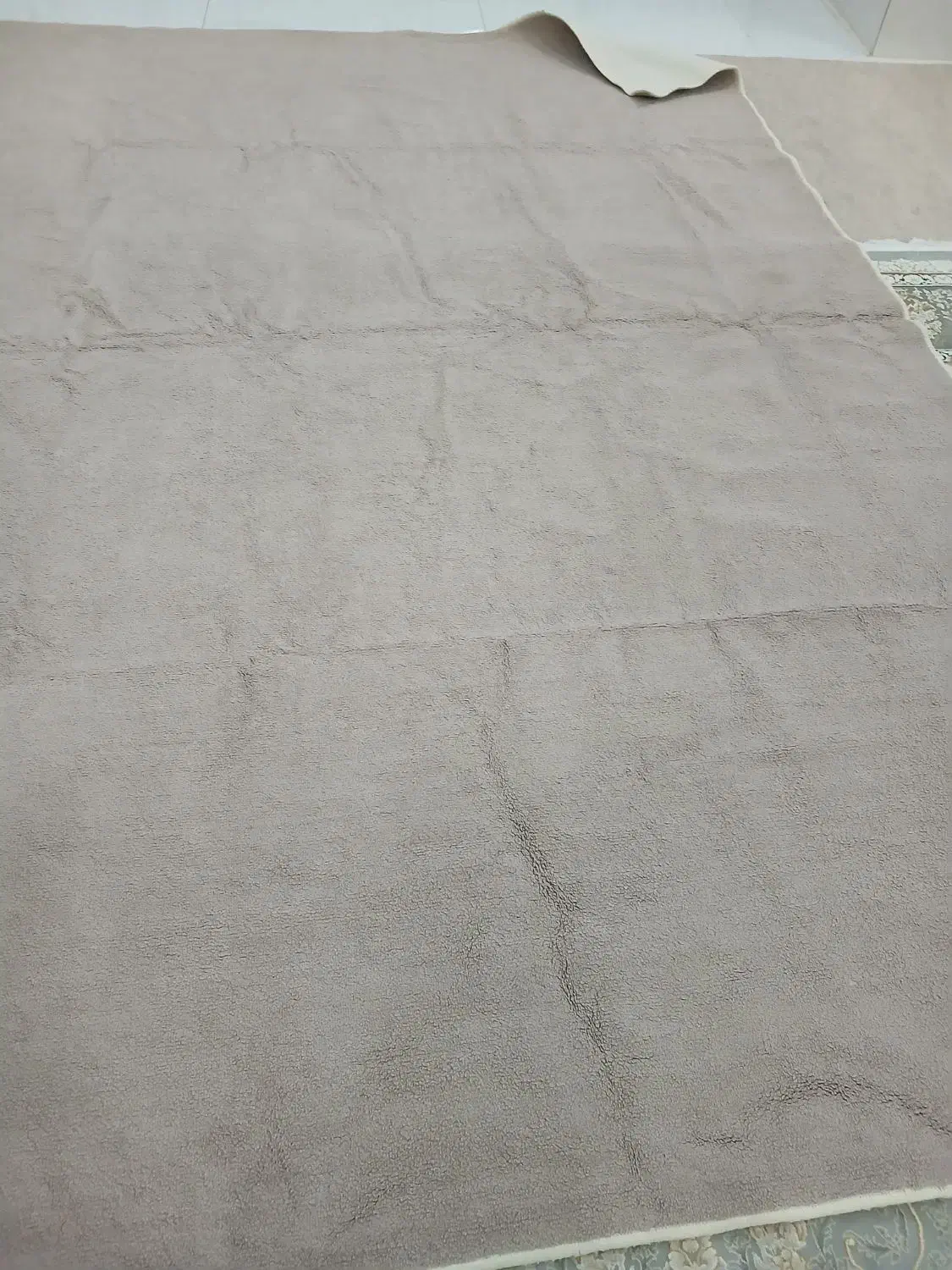 پلاسموکت|موکت|سرپل ذهاب, |دیوار