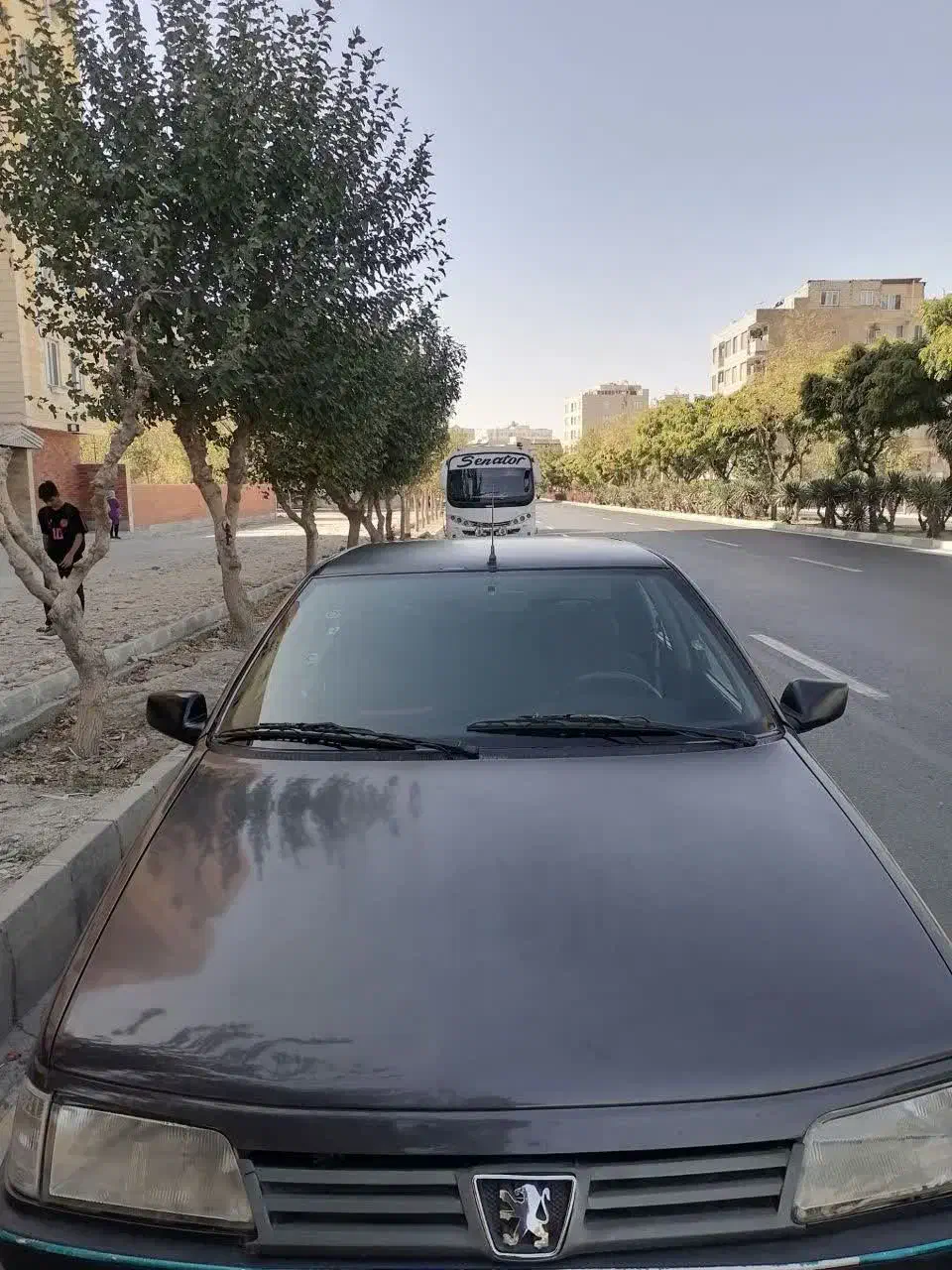 پژو روآ|خودرو سواری و وانت|فردیس, داوری|دیوار