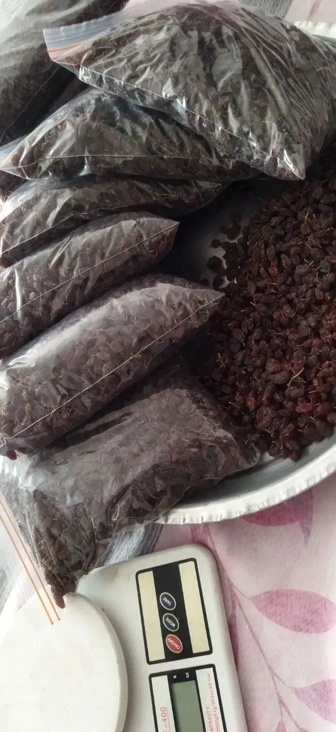 کشمش آفتابی دانه درشت امسالی|خوردنی و آشامیدنی|عجب شیر, |دیوار