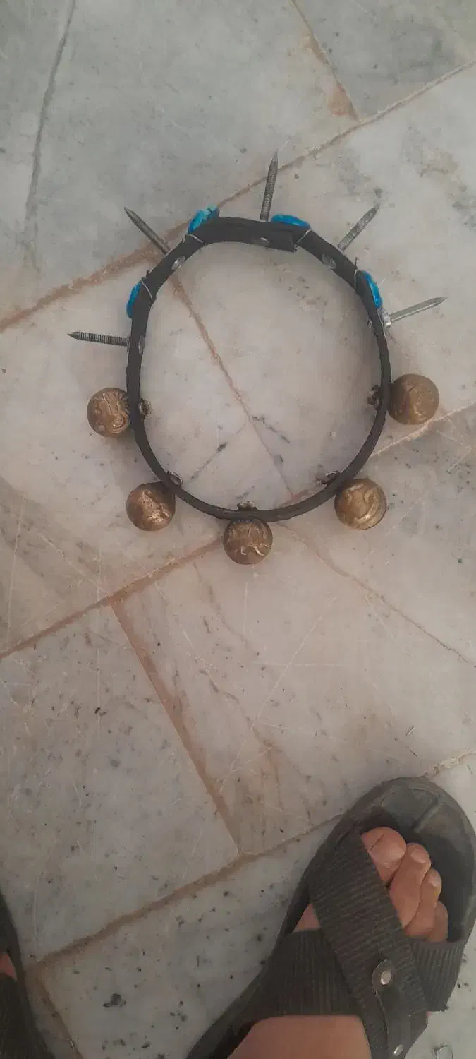 زنگ سگ|لوازم جانبی حیوانات|مشهد, پایین خیابان|دیوار