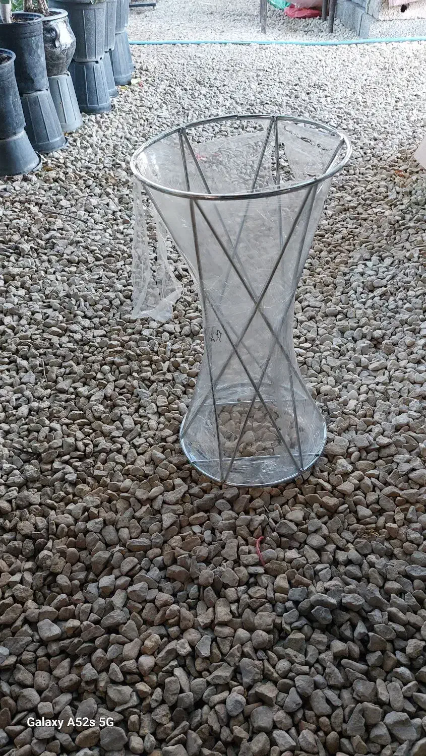 استند|گل و گیاه طبیعی|بوشهر, |دیوار