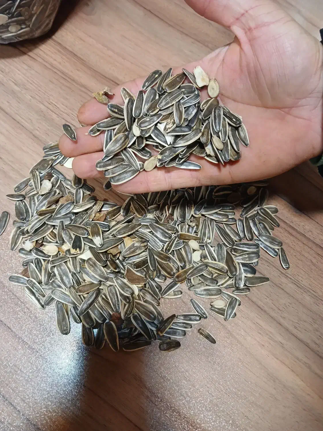 پخش تخمه|عمدهفروشی|مشهد, شهرک شیرین|دیوار