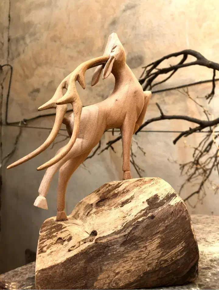 اموزش پیکر تراشی چوب|خدمات آموزشی|شیراز, دکتر حسابی|دیوار