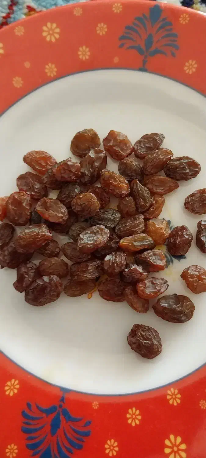 کشمش آفتابی|خوردنی و آشامیدنی|قم, بنیاد|دیوار