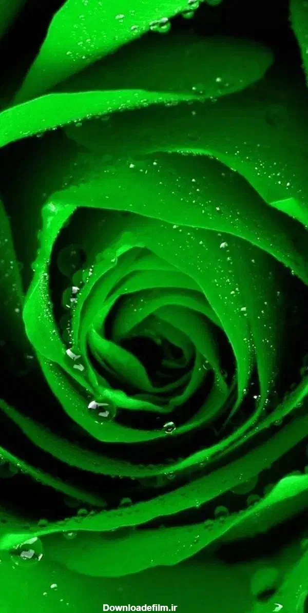 دبیر خصوصی عربی|خدمات آموزشی|قم, پردیسان|دیوار