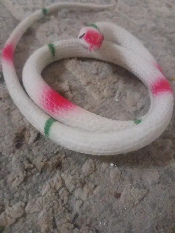 مار سیلیکونی|اسباب‌‌بازی|تهران, خاک سفید|دیوار