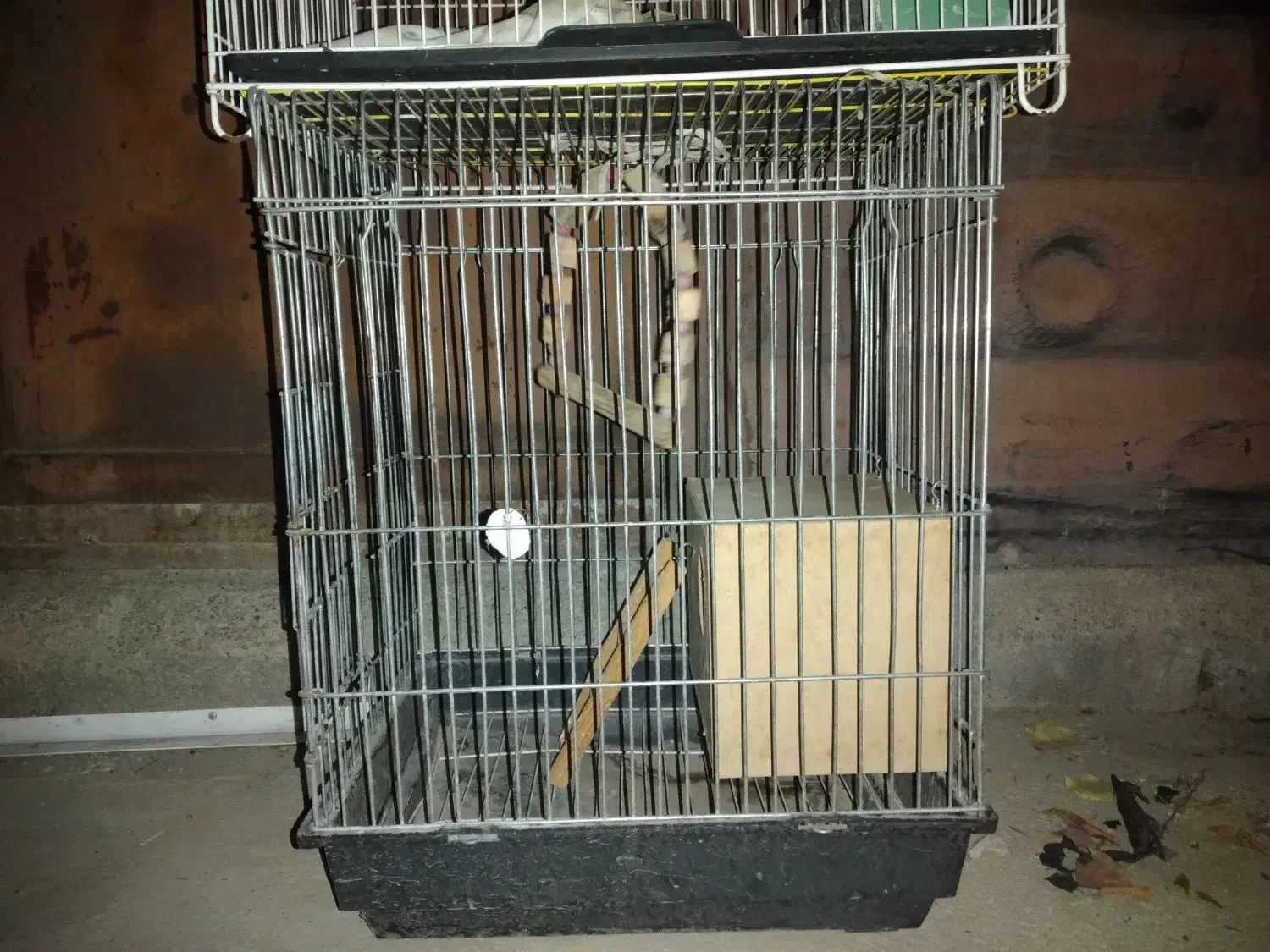 قفس پرنده|لوازم جانبی حیوانات|باغستان, |دیوار