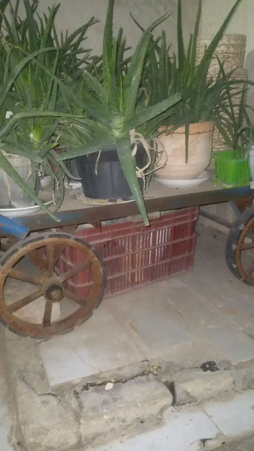 گاری چهار چرخ|ابزارآلات|پیشوا, |دیوار