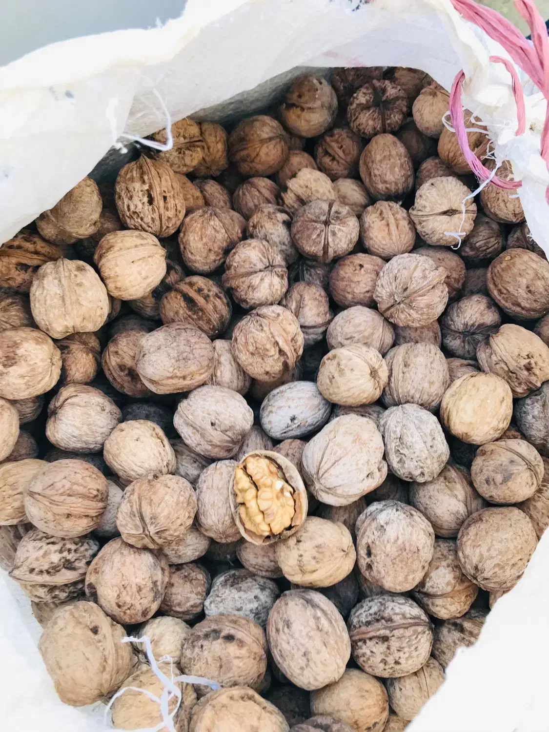 گردو درجه یک بجنورد|خوردنی و آشامیدنی|قائمشهر, |دیوار