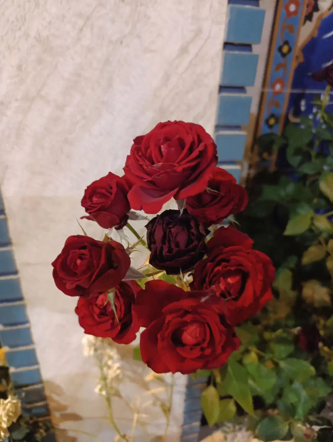 نیرو جهت کار در کافه قهوه شرف آباد|استخدام خدمات فروشگاه و رستوران|یاسوج, |دیوار