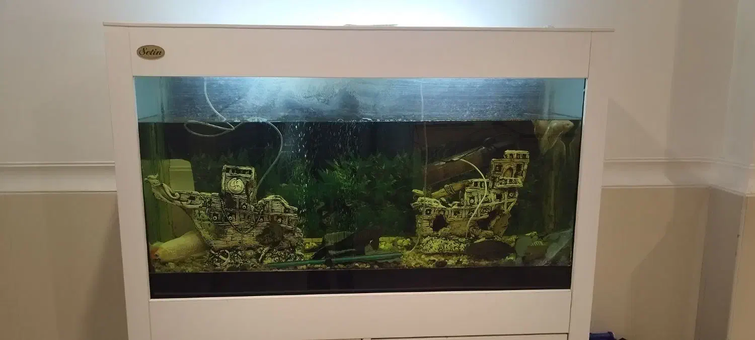 نیازمند نیروی کار در چوب و ام دی اف پاره وقت|استخدام صنعتی، فنی، مهندسی|شهرضا, |دیوار