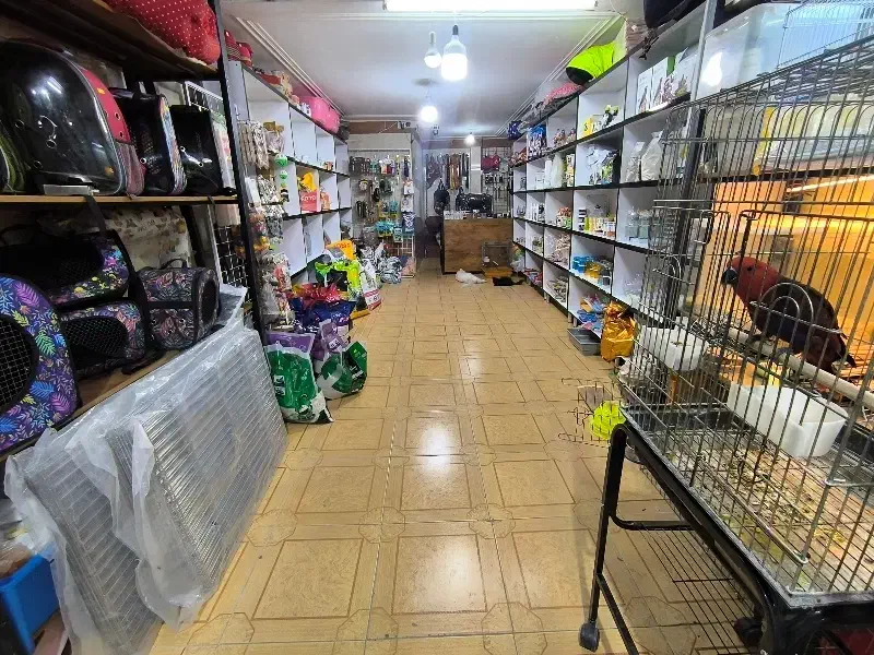 پت شاپ پارسی انواع لوازم سگ و گربه و پرنده|لوازم جانبی حیوانات|کازرون, |دیوار