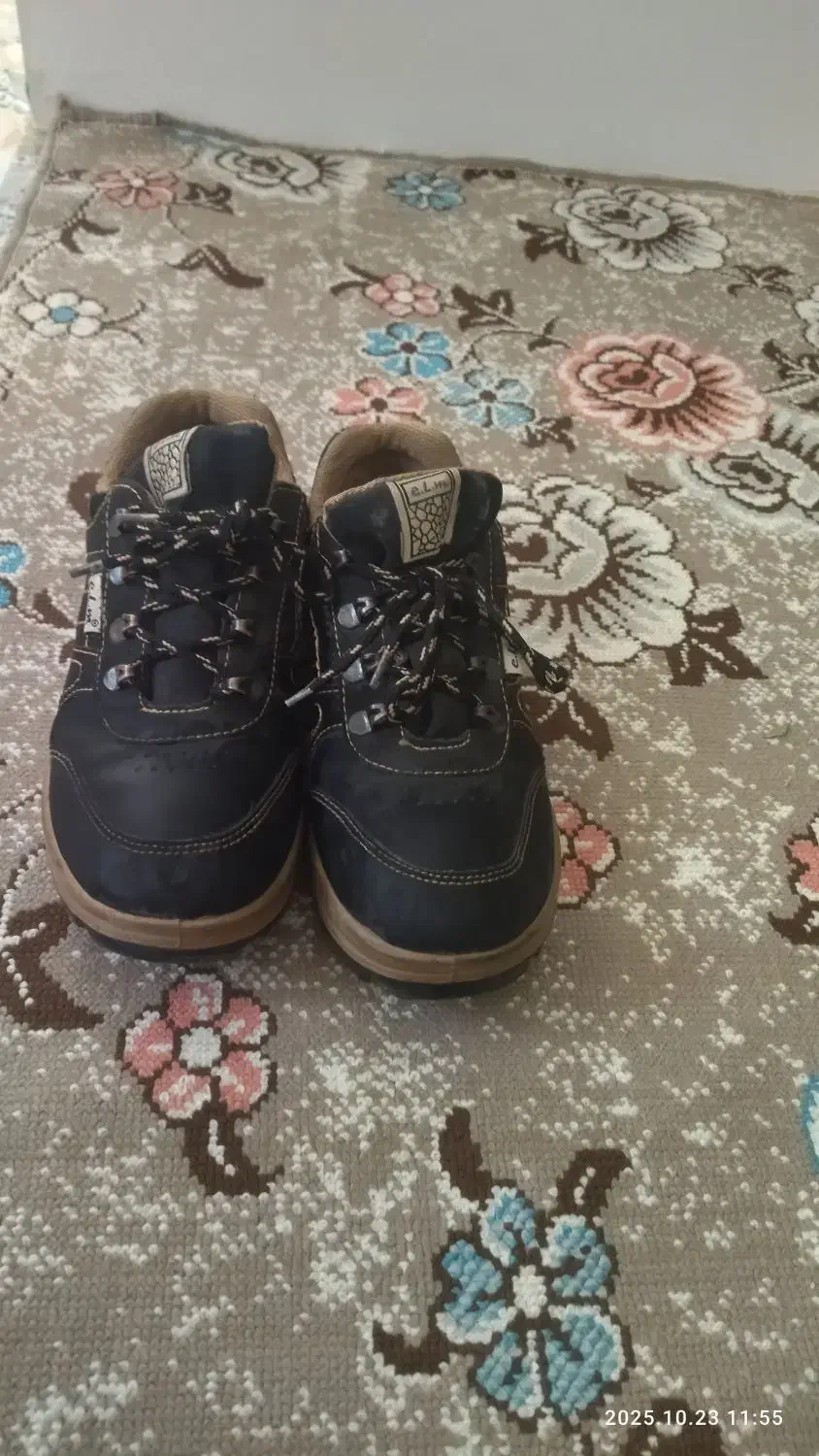 کفش|کیف، کفش، کمربند|مریوان, |دیوار