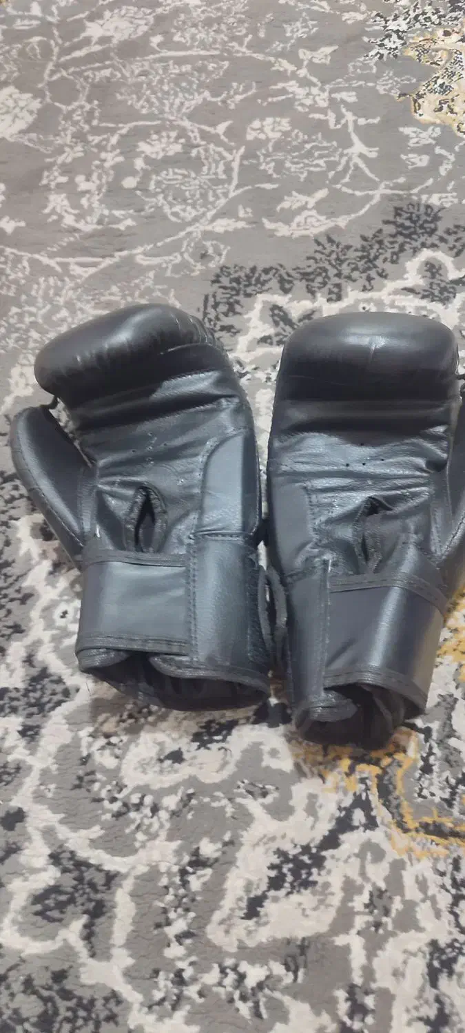 دست کش بوکس|تجهیزات ورزشی|پاکدشت, کبودگنبد|دیوار