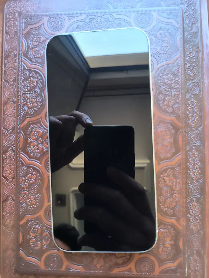 اپل iPhone 16 Pro Max با حافظهٔ ۲۵۶ گیگابایت|موبایل|شیراز, زرهی|دیوار