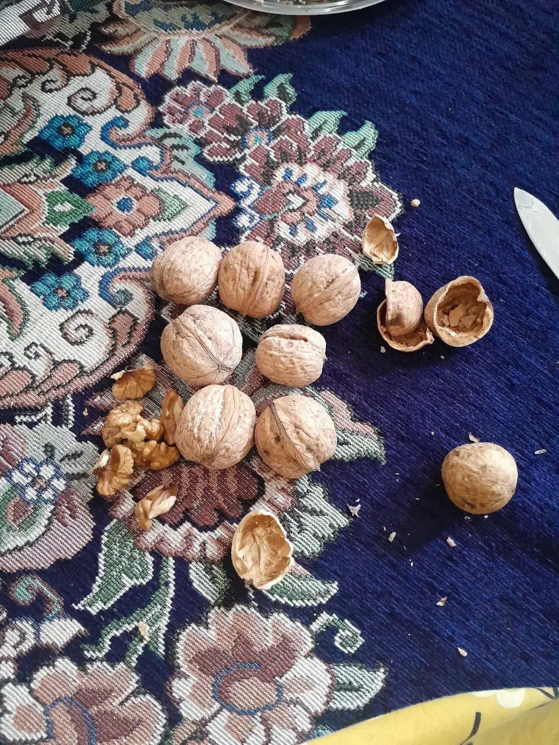 گردومغزپر|حراج|نهاوند, |دیوار