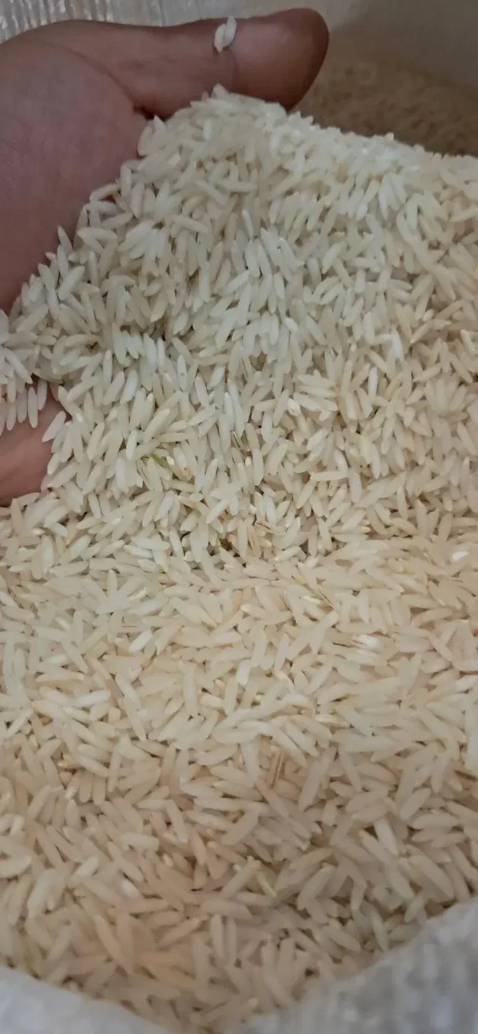 برنج هاشمی اعلاودرجه یک|خوردنی و آشامیدنی|رشت, پل تالشان|دیوار