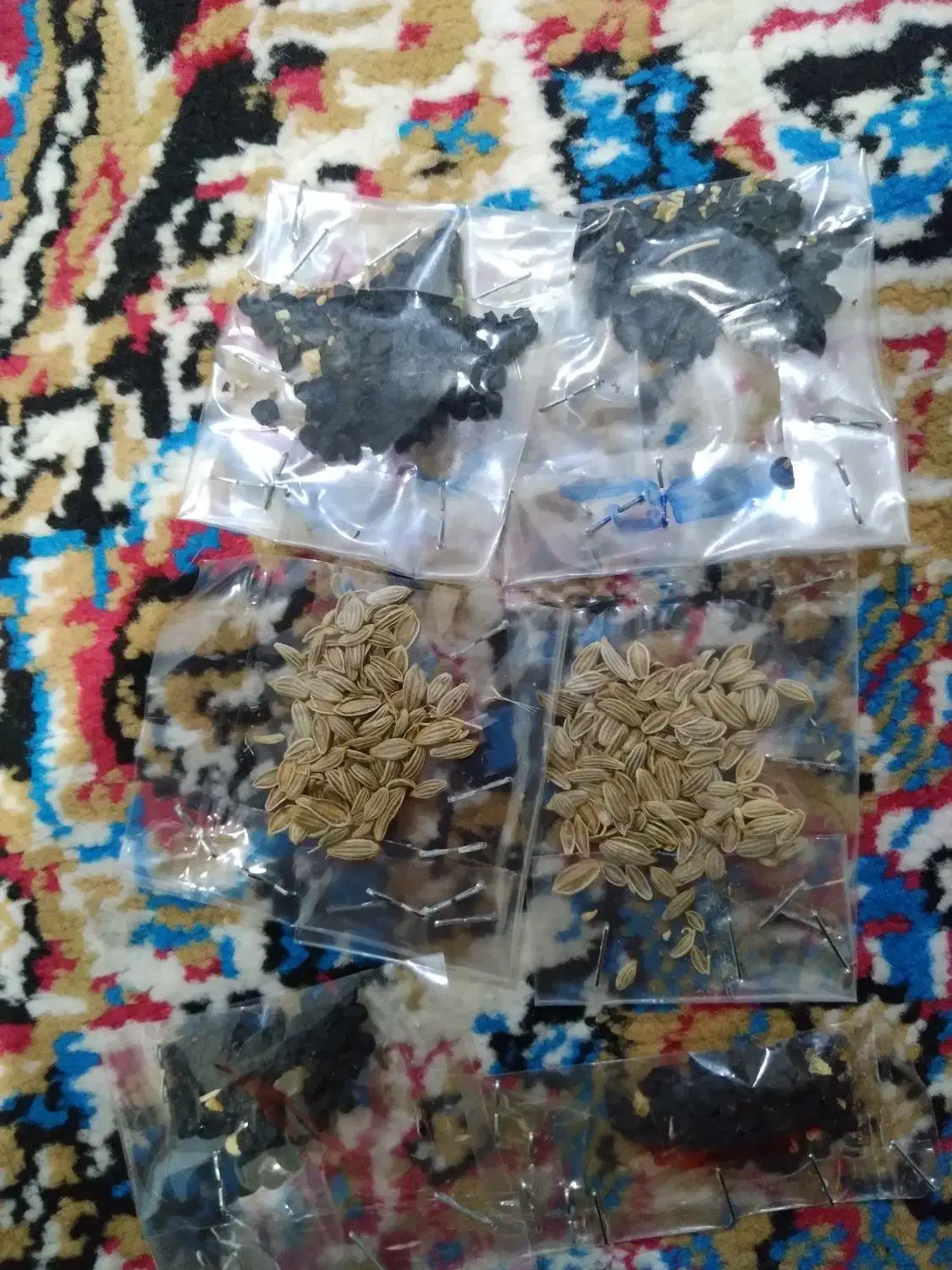 فروش توم که رس توم پیچک توم پسل|خدمات باغبانی و درختکاری|جوانرود, |دیوار