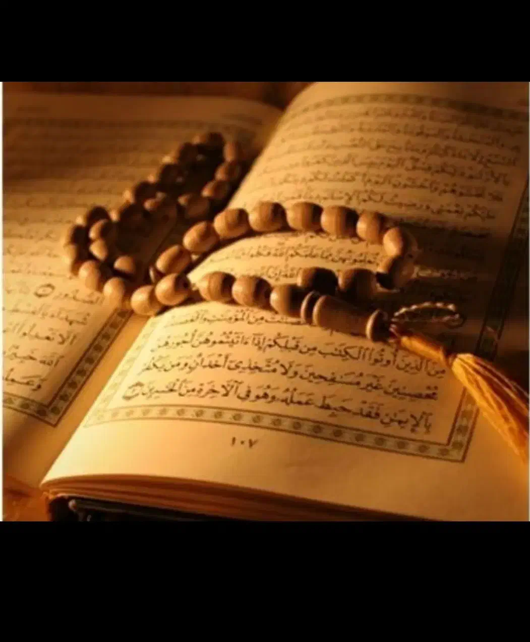 سرکتاب،فال|خدمات پذیرایی، مراسم|بندر گناوه, |دیوار