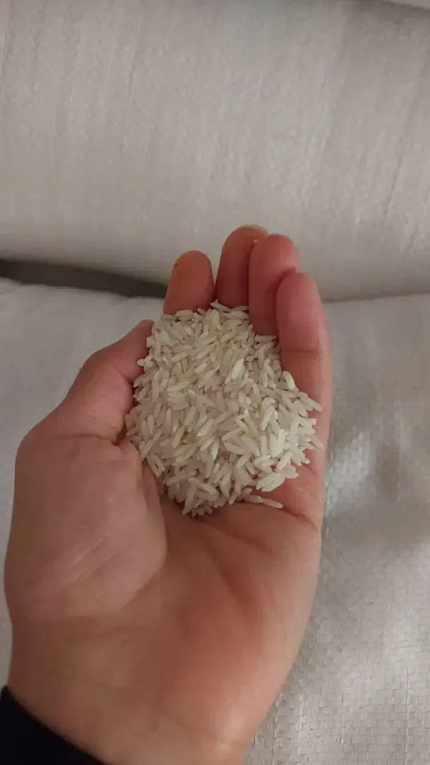 برنج طارم هاشمی بوجار شده|خوردنی و آشامیدنی|ساری, |دیوار