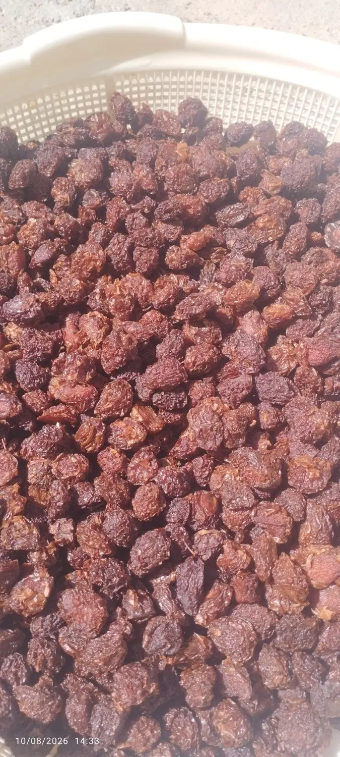 آلو|خوردنی و آشامیدنی|نهاوند, |دیوار