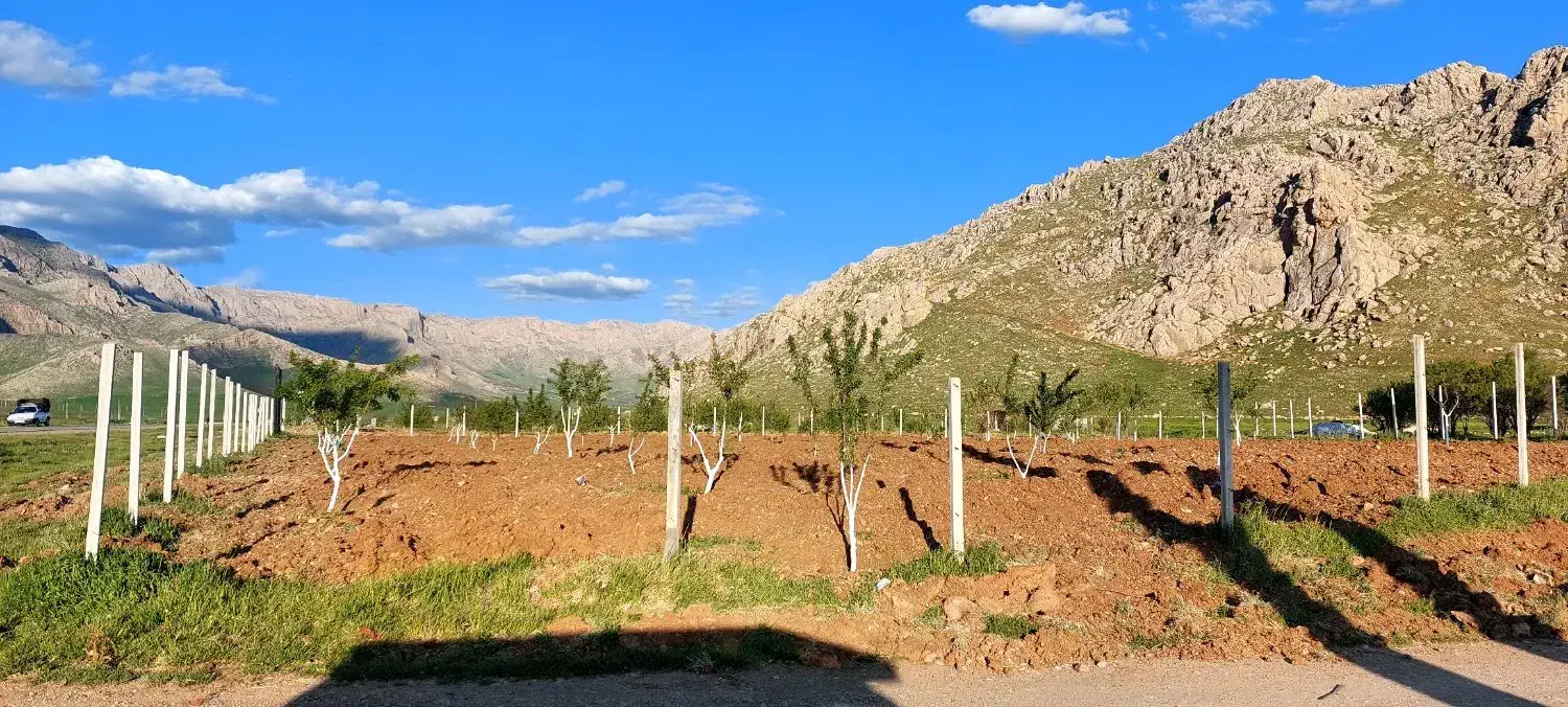 ۲۴۰۰متر زمین سنددار دونبش در ۵۰۰متری شهر روانسر|فروش زمین و ملک کلنگی|روانسر, |دیوار