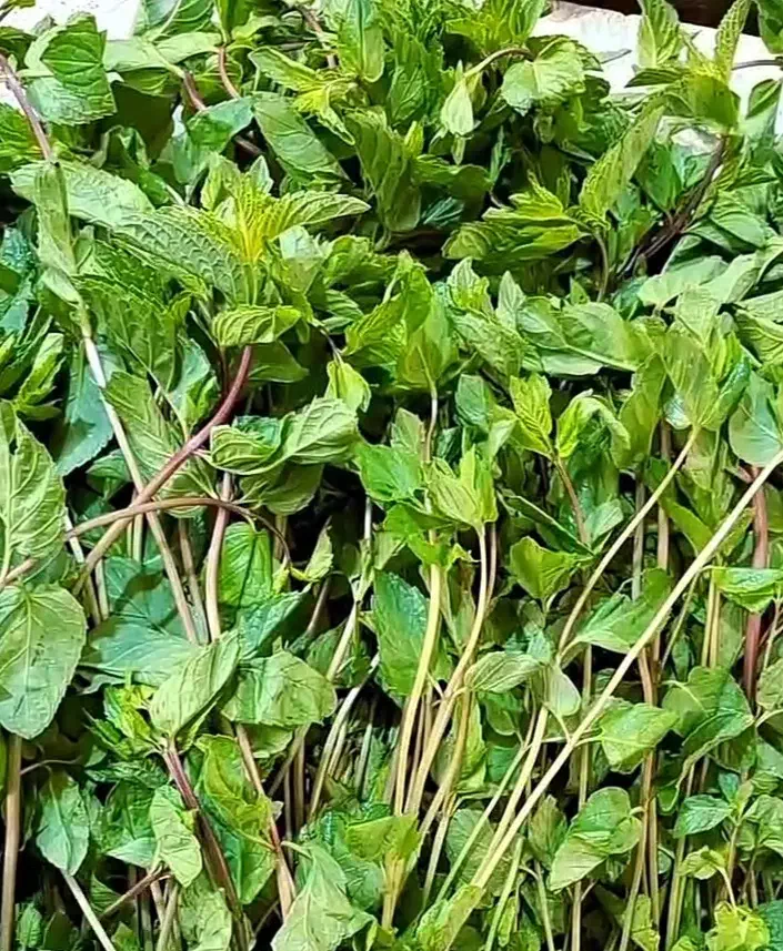 استخدام نیروی خانم در مغازه سبزی خردکنی|استخدام خدمات فروشگاه و رستوران|شهرکرد, |دیوار