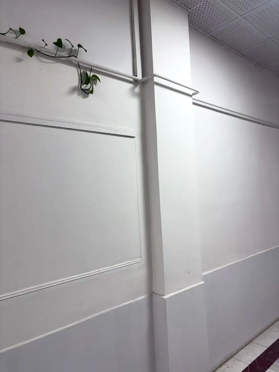 نقاشی ساختمان ، تخریب بتن و دیوار|خدمات پیشه و مهارت|علی‌آباد کتول, |دیوار