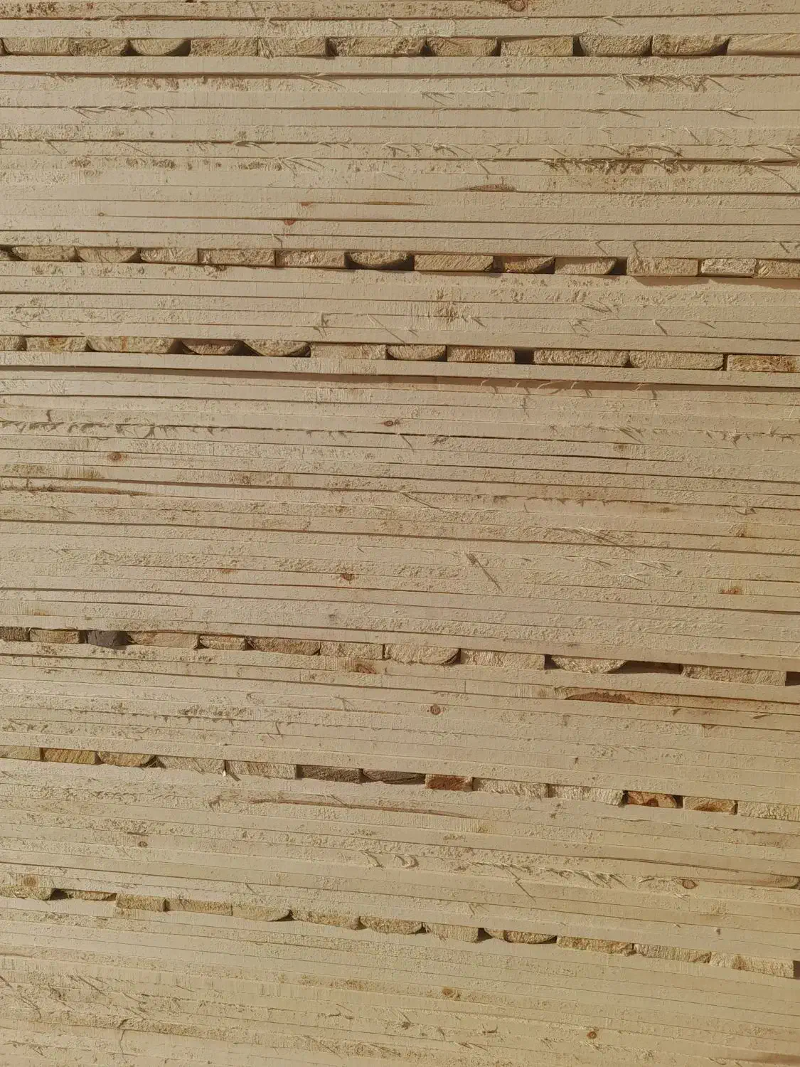 خریدوفروش چوب|مصالح و تجهیزات ساختمان|لاران, |دیوار