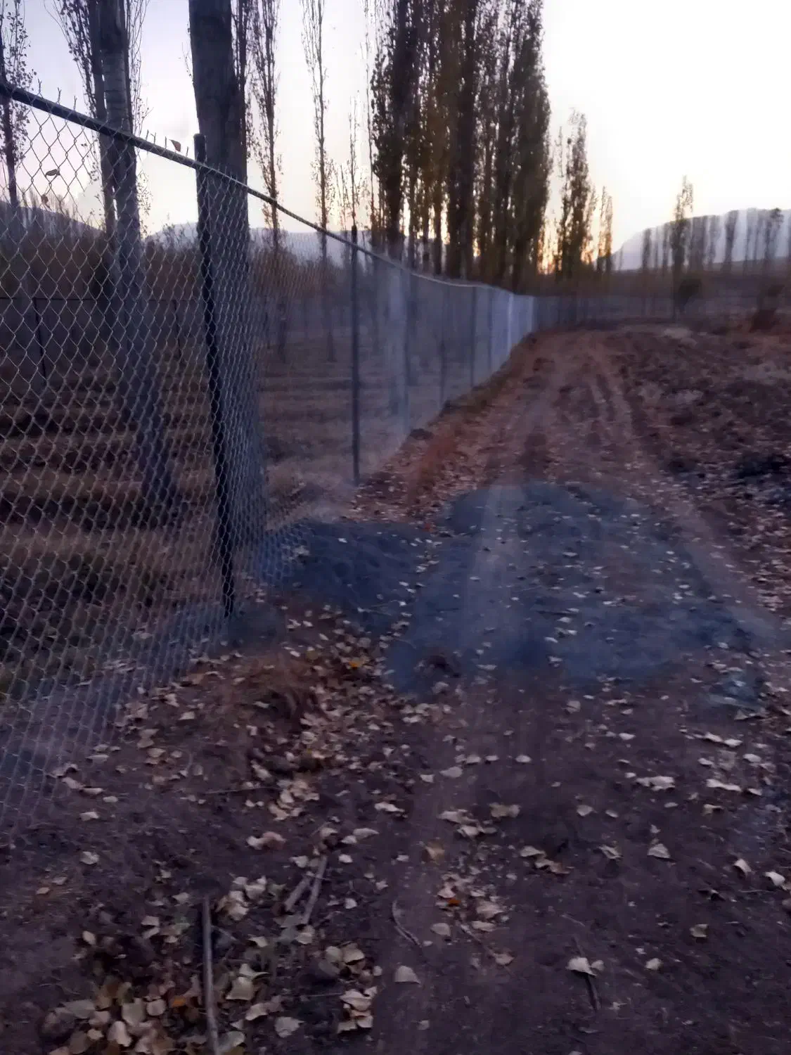 فنس|خدمات پیشه و مهارت|اراک, |دیوار