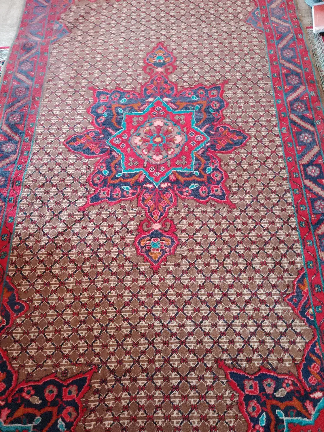 فرش دستبافت|فرش|تهران, قلهک|دیوار