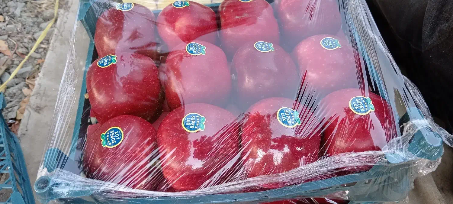 سیب درختی خراسان|خوردنی و آشامیدنی|تهران, گرگان|دیوار